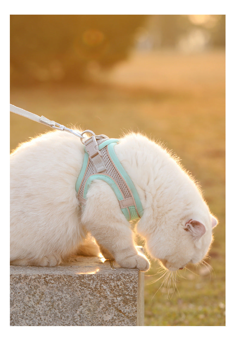 Set de arnés de malla reflectiva y correa para perro o gato