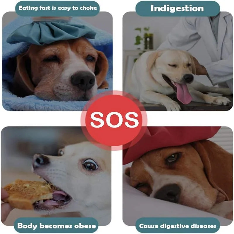 Comedero lento para perro con diseño de obstáculos