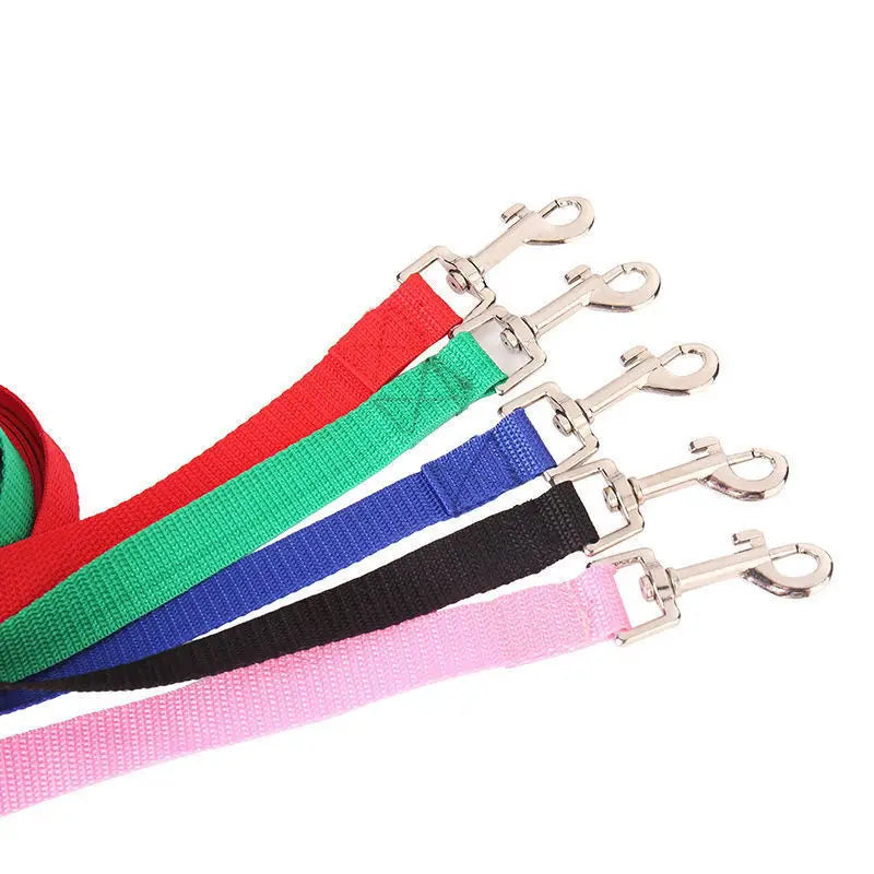 Correa de nylon para perro en largos de 1,2 a 30 metros