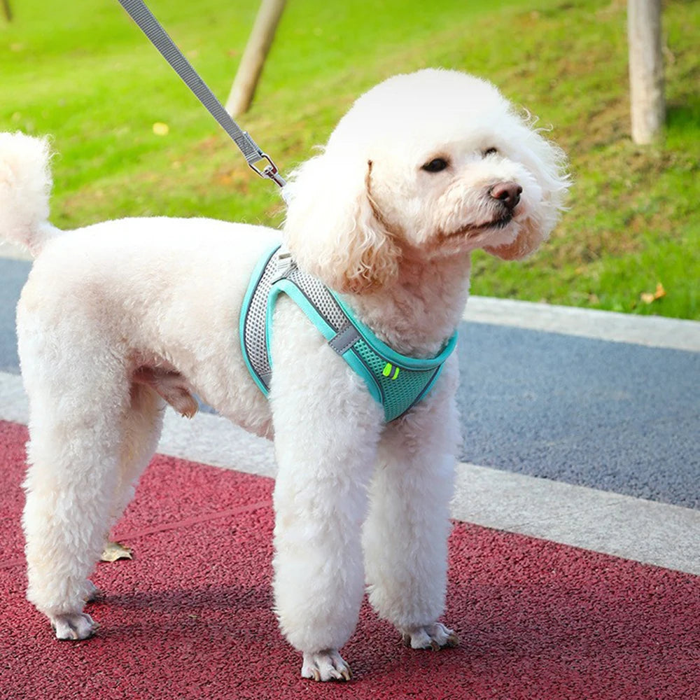 Set de arnés de malla reflectiva y correa para perro o gato