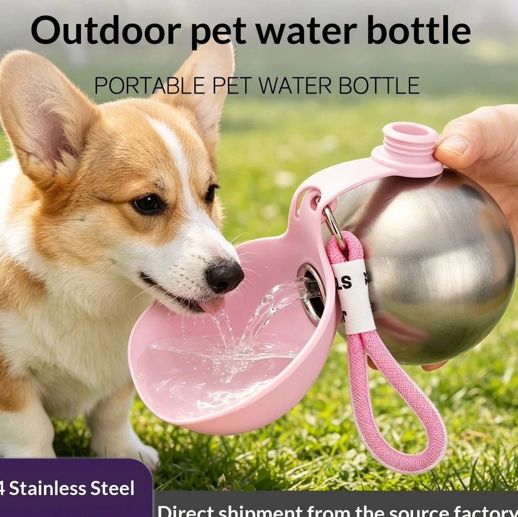 Botella para mascotas con recipiente plegable