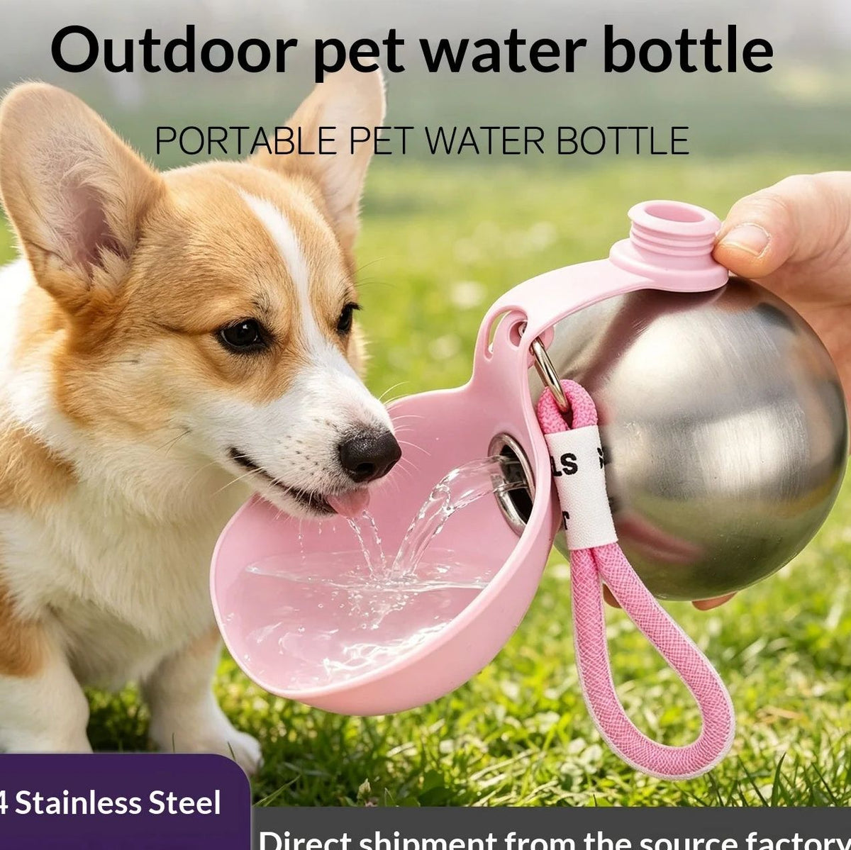 Botella para mascotas con recipiente plegable