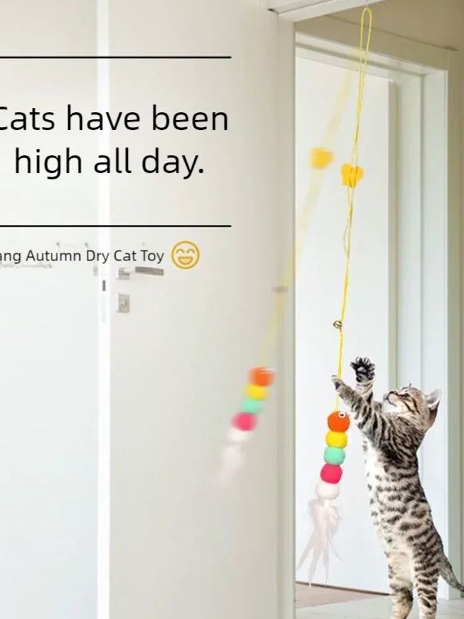 Juguete colgante con cuerda elástica para gatos